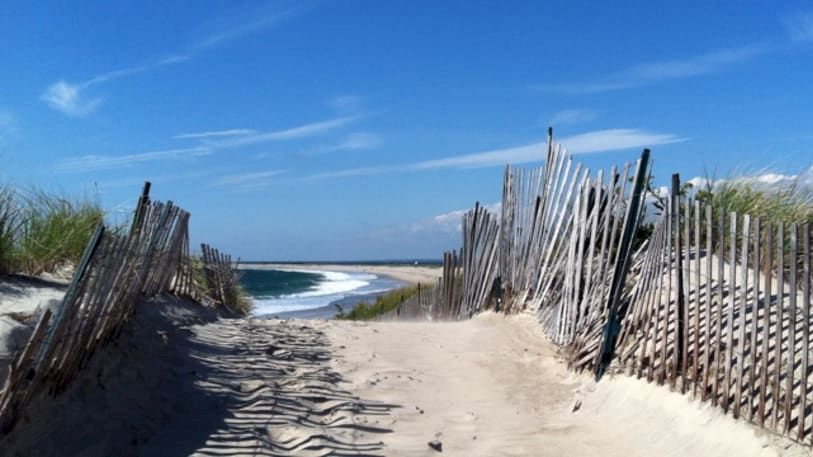 A sandy path leads to the beach, bordered by wooden fences and sea grass under a clear blue sky.