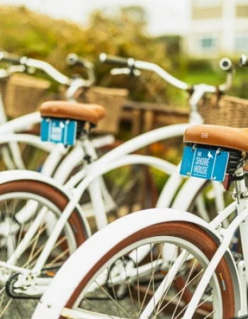 A row of white bicycles with brown seats and baskets is parked outdoors on a sunny day.