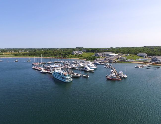 A marina with several boats docked on a sunny day, surrounded by green land and a few buildings in the background.