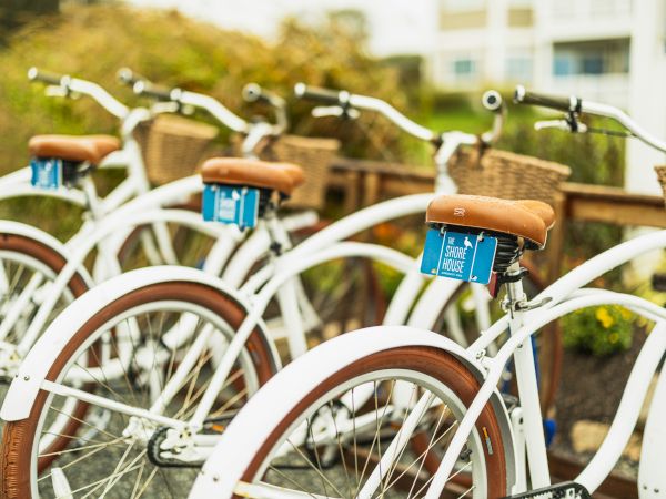 The image shows a row of white bicycles with brown seats and baskets parked in a line, likely available for rental or use.