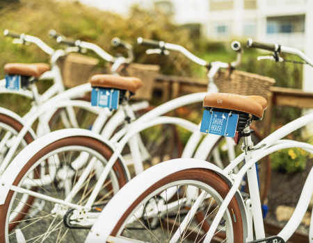 A row of white bikes with brown seats and baskets lined up outdoors, each bike featuring a blue license plate-like sign on the back, parked on a path.